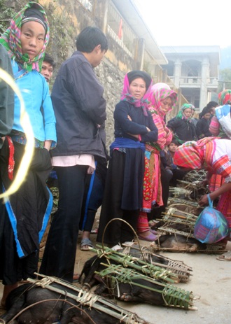 Tết về trên rẻo cao - 9 Tết về trên rẻo cao - 9