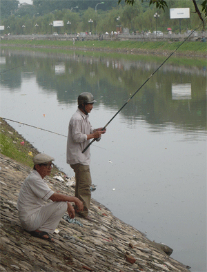 “Chưa bao giờ thấy sông Tô Lịch... đẹp thế” - 3