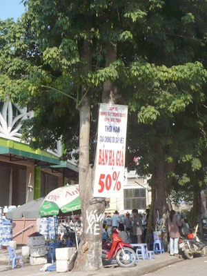 “Kiếp nạn” của cây xanh trên đường Bưởi - 3 “Kiếp nạn” của cây xanh trên đường Bưởi - 3