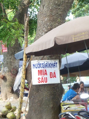 “Kiếp nạn” của cây xanh trên đường Bưởi - 4 “Kiếp nạn” của cây xanh trên đường Bưởi - 4