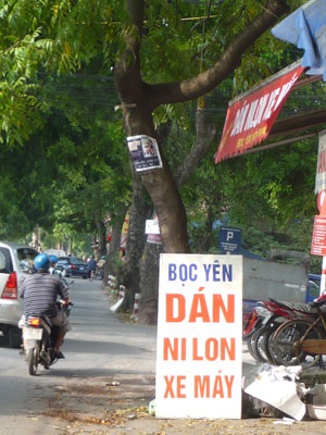 “Kiếp nạn” của cây xanh trên đường Bưởi - 10 “Kiếp nạn” của cây xanh trên đường Bưởi - 10