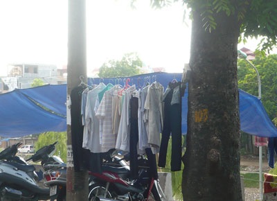 “Kiếp nạn” của cây xanh trên đường Bưởi - 13 “Kiếp nạn” của cây xanh trên đường Bưởi - 13