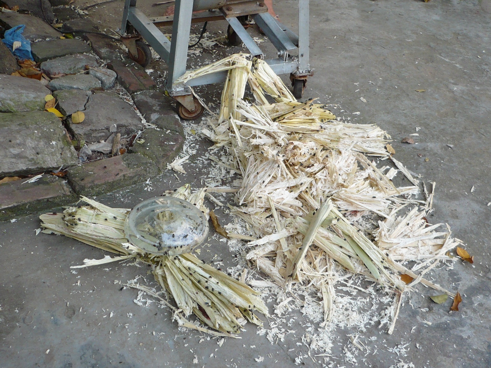 Hãi hùng nước mía vỉa hè - 1