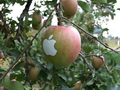 Chùm ảnh: Sáng tạo... cùng logo quả táo của Apple - 2 Chùm ảnh: Sáng tạo... cùng logo quả táo của Apple - 2