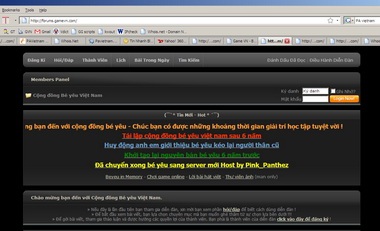 PAvietnam bị hack tên miền, hàng loạt website tê liệt - 2