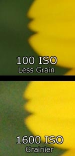 12 cách chọn ISO thích hợp nhất khi chụp ảnh - 1 12 cách chọn ISO thích hợp nhất khi chụp ảnh - 1