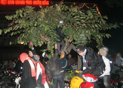 Đêm giao thừa cùng 2 câu chuyện môi trường - 3 Đêm giao thừa cùng 2 câu chuyện môi trường - 3