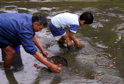Lên Thủy Trầm, tầm chép đỏ - 8 Lên Thủy Trầm, tầm chép đỏ - 8