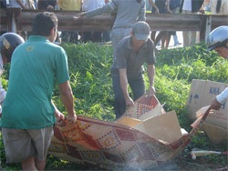 Một sinh viên lao vào tàu hoả tự tử  - 1