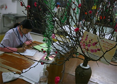 Nghề không có đêm ba mươi!  - 3