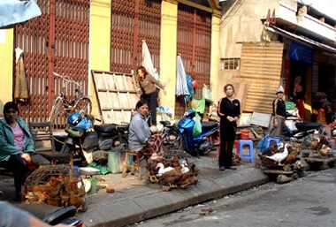 Tiêu dùng thực phẩm: “Khinh” cả ba dịch! - 2 Tiêu dùng thực phẩm: “Khinh” cả ba dịch! - 2