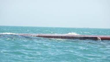 1 người sống, 14 người vô vọng - 1