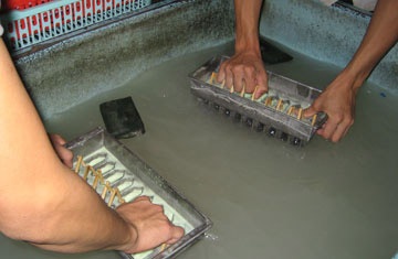 Kinh hoàng nước đá tinh khiết và kem bẩn! - 1