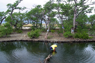 Sức quyến rũ của Vân Phong - 12