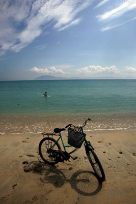 Sức quyến rũ của Vân Phong - 4