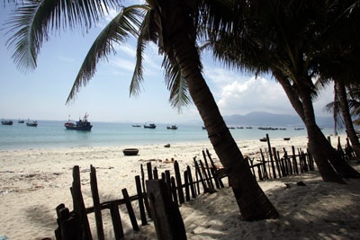 Sức quyến rũ của Vân Phong - 5