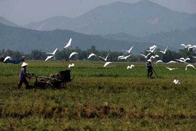 Sức quyến rũ của Vân Phong - 6