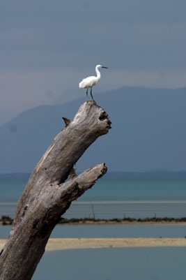 Sức quyến rũ của Vân Phong - 8