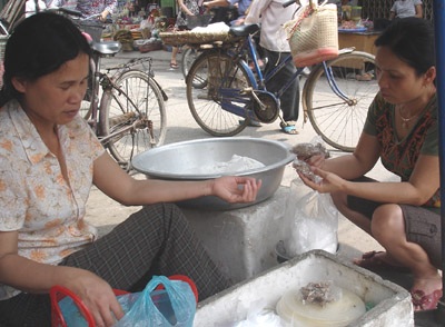 Bánh trôi “thời vụ”… Tết Hàn thực - 2 Bánh trôi “thời vụ”… Tết Hàn thực - 2