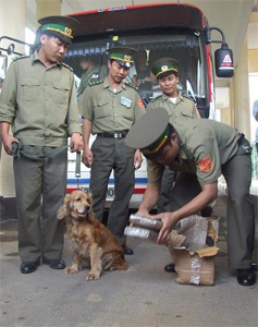 Bắt xe liên vận quốc tế chở 5kg cần sa - 1