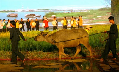 Đêm chia tay mộc mạc và giản dị - 5