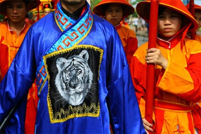 Ấn tượng hội thi Tiến sĩ Võ - 12