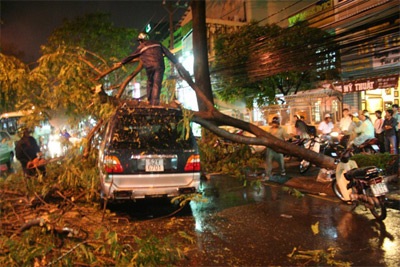 TPHCM: Mưa lớn ngập đường, cây ngã đè ô tô - 1