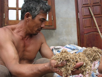 Yên Bái tiếp tục chống lũ... bùn! - 2