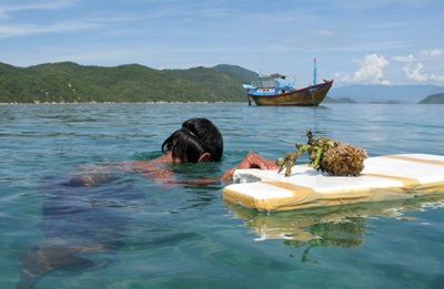 Một thiên đường mới - 2