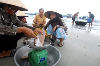 Một thiên đường mới - 14