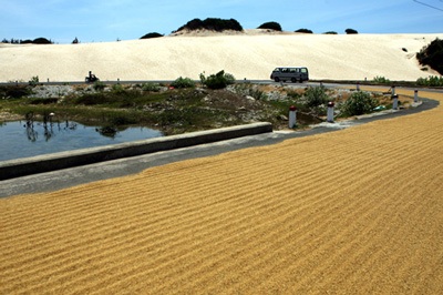 Một thiên đường mới - 4