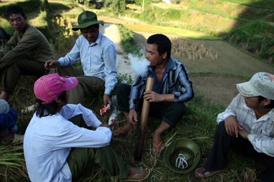 Mùa vàng Quản Bạ - 4