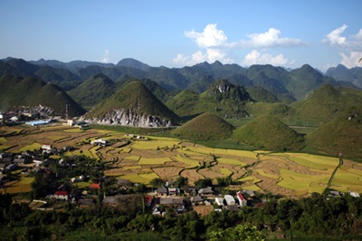 Mùa vàng Quản Bạ - 5