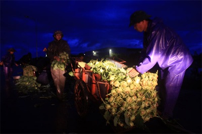 Lội ruộng mò rau - 1