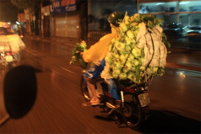 Lội ruộng mò rau - 2