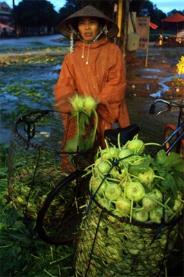 Lội ruộng mò rau - 3