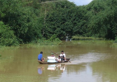 Xứ Nghệ ngập trắng nước, thiệt hại nặng do mưa lũ - 6