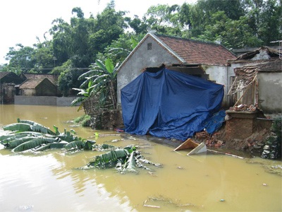 Xứ Nghệ ngập trắng nước, thiệt hại nặng do mưa lũ - 7