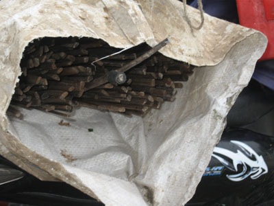 Phóng sự ảnh: Thương lắm cò ơi! - 2