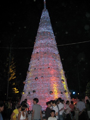 TPHCM rực rỡ sắc màu đêm Giáng sinh - 6 TPHCM rực rỡ sắc màu đêm Giáng sinh - 6