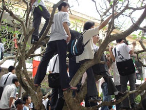 Bill Gates trong vòng vây của sinh viên - 6