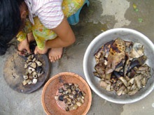 Đi săn cá lăng - 2 Đi săn cá lăng - 2