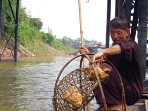 Đi săn cá lăng - 1 Đi săn cá lăng - 1