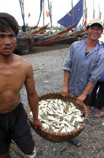 Bến cá nóc - 3 Bến cá nóc - 3