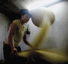 Ký ức cốm Vòng - 1 Ký ức cốm Vòng - 1