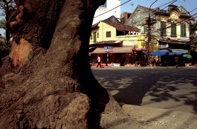 Đất Thăng Long - 1 Đất Thăng Long - 1