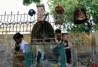 Phiên "chợ quê" Hà Nội - 1 Phiên "chợ quê" Hà Nội - 1
