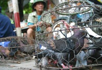 Phiên "chợ quê" Hà Nội - 3 Phiên "chợ quê" Hà Nội - 3