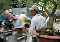 Phiên "chợ quê" Hà Nội - 6 Phiên "chợ quê" Hà Nội - 6