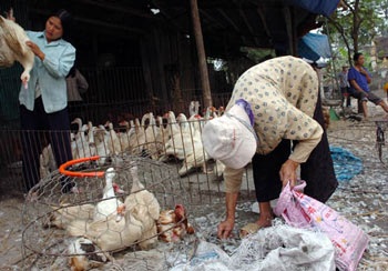 Hà Vỹ: Điếc không sợ súng! - 8